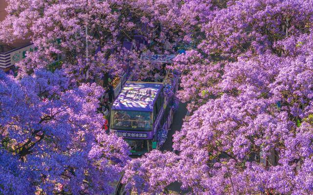 更优服务繁荣文旅市场AG真人平台app以(图16)