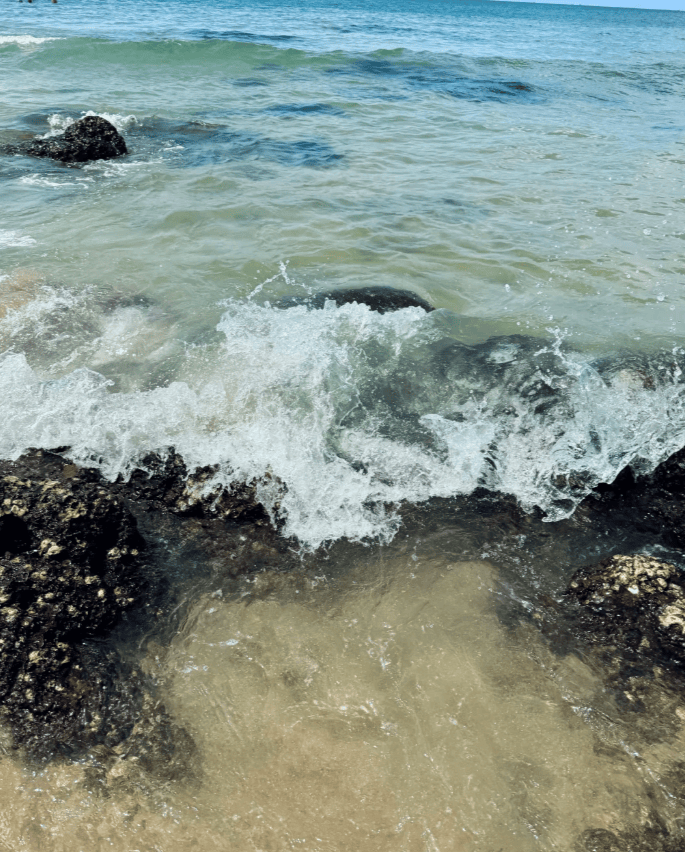 攻略不要错过越南自由行VS跟团对比防骗技巧+真实花费！AG真人百家家乐平台越南五日游人均报价多少钱？这篇省钱(图3)